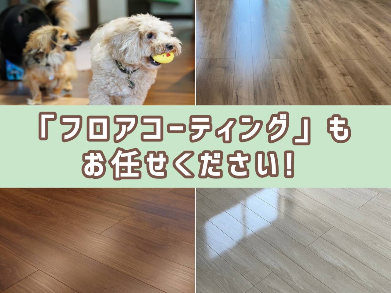 フロアコーティング始めました！！