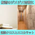 梅雨のジメジメ対策に　